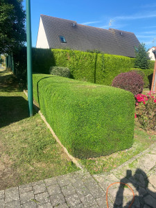 Photo de galerie - Tailles haie