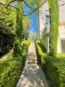 Photo de galerie - Taille de haies et d'arbustes