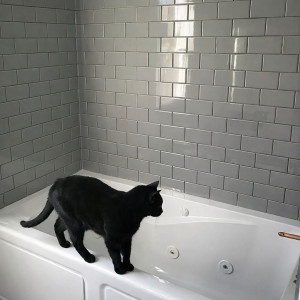 Photo de galerie - Carrelage