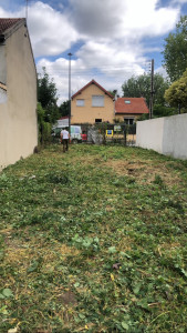 Photo de galerie - Elagage et coupe d'arbres