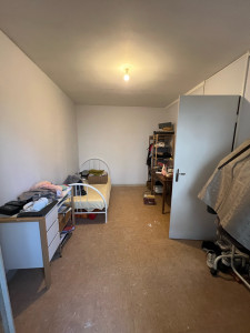 Photo de galerie - Peinture et tapisserie 