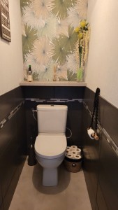 Photo de galerie - Réfection total de toilettes