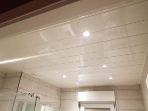 Photo de galerie - Pose plafond PVC avec spot dans une salle de bain