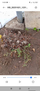 Photo de galerie - Jardinier