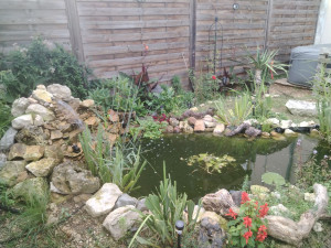 Photo de galerie - Paysagiste - Aménagement du jardin