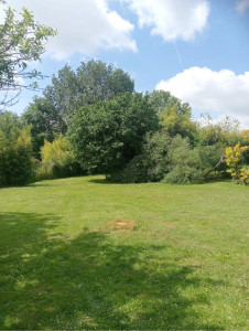 Photo de galerie - Après 