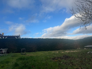 Photo de galerie - Paysagiste - Aménagement du jardin