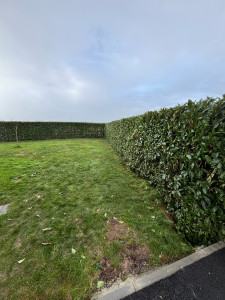 Photo de galerie - APRÈS