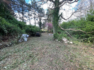 Photo de galerie - Tonte de pelouse - Débroussaillage