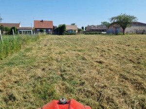Photo de galerie - Tonte de pelouse - Débroussaillage