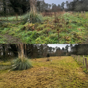 Photo de galerie - Debroussailage d’un arrière terrain 1800m2 , ancien potager