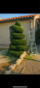 Photo de galerie - Taille d’arbustes
