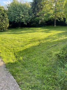 Photo de galerie - Paysagiste - Aménagement du jardin