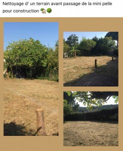 Photo de galerie - Tonte de pelouse - Débroussaillage