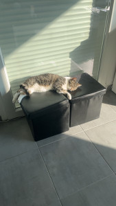 Photo de galerie - Gros dodo