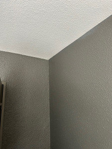 Photo de galerie - Deux couleur peinture 