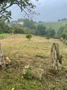 Photo de galerie - Debrouissallage terrain laisser a l’abandon 