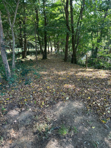 Photo de galerie - Jardinier