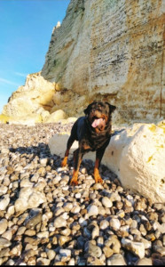 Photo de galerie - Balade a la plage 