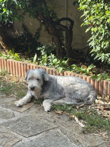 Photo de galerie - Petit soleil d'automne - 10/25