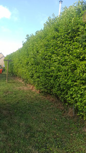 Photo de galerie - Avant