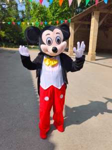 Photo de galerie - Photo avec mascottes ( Mickey Winnie bébé fille et garçon 