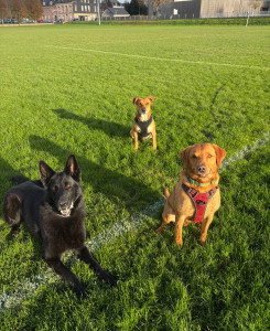 Photo de galerie - Séance jeu à la balles