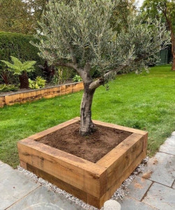 Photo de galerie - Paysagiste - Aménagement du jardin