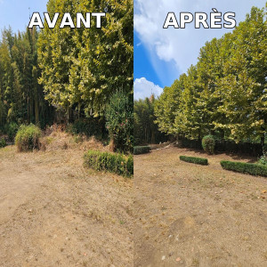 Photo de galerie - Avant / Après d'un entretien d'espace vert d'un chateau