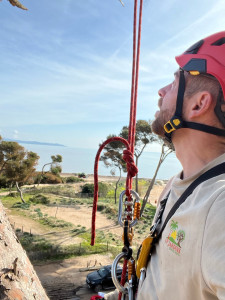 Photo de galerie - Sécurisation de branche