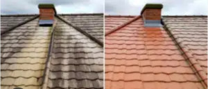 Photo de galerie - Voici le avant après du prestation de nettoyage de toiture 