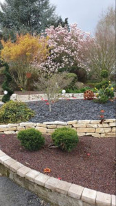 Photo de galerie - Entretiens 