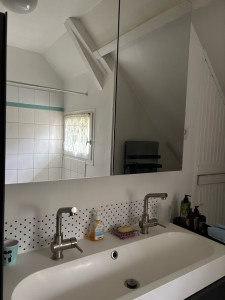 Photo de galerie - Salle de bain nettoyer et désinfecter 