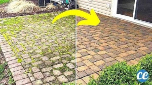 Photo de galerie - Nettoyage a haute pression 