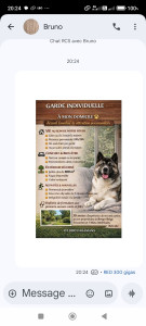 Photo de galerie - Descriptif de notre Garde Individuelle et Familiale.