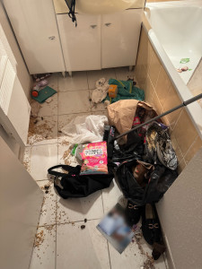 Photo de galerie - Ménage