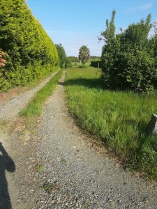 Photo de galerie - Avant l'intervention 