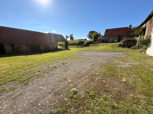 Photo de galerie - Tonte de pelouse d’un terrain
