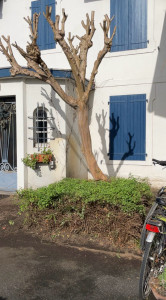 Photo de galerie - Avant après entretien d’hiver 
