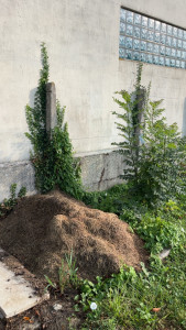 Photo de galerie - Paysagiste - Aménagement du jardin