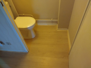 Photo de galerie - Parquet toilette Belfort 