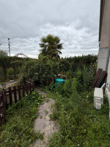 Photo de galerie - Avant taille