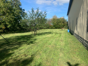 Photo de galerie - Tonte avec ramassage 