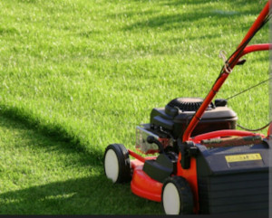 Photo de galerie - Je passe la tondeuse chez vous