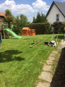 Photo de galerie - Tonte de gazon 