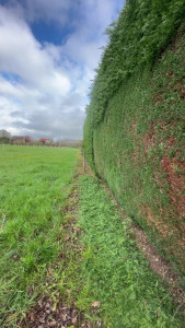 Photo de galerie - Taille 