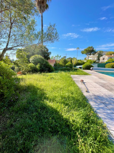 Photo de galerie - Tonte de pelouse - Débroussaillage