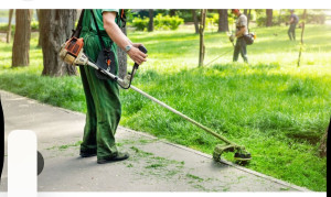 Photo de galerie - Tonte 