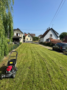 Photo de galerie - Tonte de pelouse 