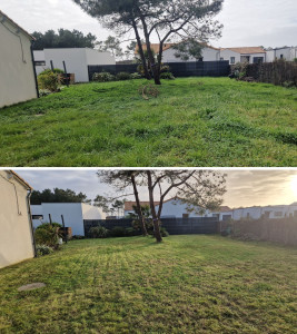 Photo de galerie - Tonte début de saison